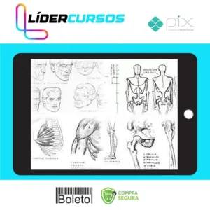 Desenho36 Livros de Desenho - Andrew Loomis