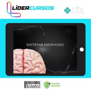 Fisiologia do Sistema Nervoso - Fisiologia Didática