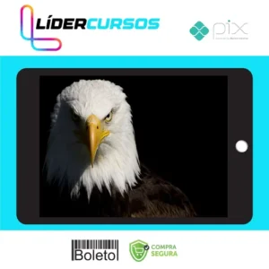 Mentoria  Águias Do Tiktok - Samuka