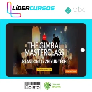 The Gimbal Masterclass - Brandon Li [INGLÊS]
