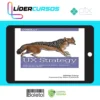 O'Reilly Books: UX Strategy How to Devise Innovative Digital Products that People Want - Jaime Levy [INGLÊS]