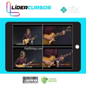 Robben Ford - Art Of Blues Rhythm [INGLÊS]