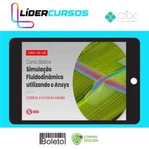 Curso Básico de Simulação Fluidodinâmica Utilizando o Ansys - Esss