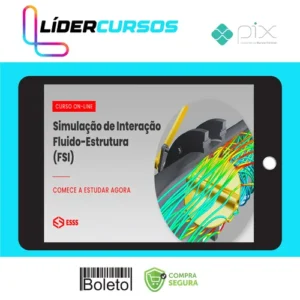 Curso de Simulação de Interação Fluído-Estrutura - Iesss
