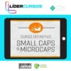 Como Investir Em Small Caps e Microcaps - Vicente Guimarães