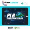 PLR Sem Fronteiras - Fellipe Ferini