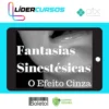 Fantasias Sinestesicas o Efeito Cinza: Aprenda a Conquistar Uma Mulher - Segredos da Atração