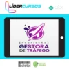 Profissão Gestora de Tráfego - Ana Neves