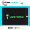 Gestor de Performance - Diego Santana